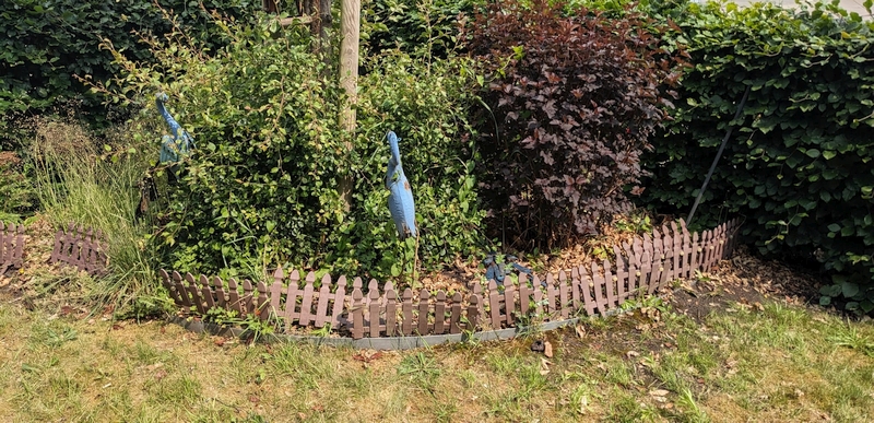Ein Garten mit Büschen.