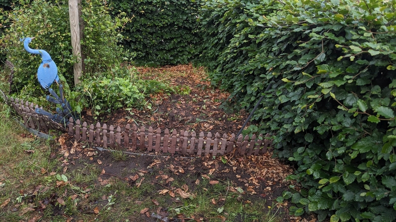 Ein Garten mit Büschen.