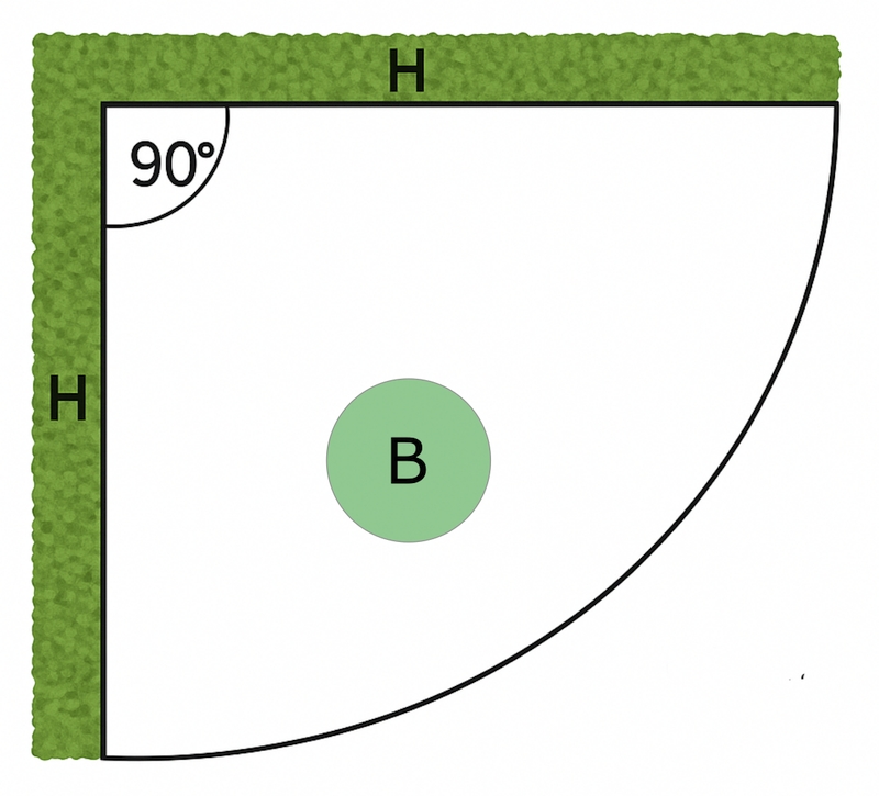 Ein Garten mit Büschen.