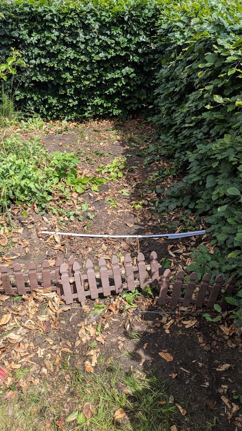 Das Bild zeigt einen kleinen, teilweise verwilderten Gartenbereich. Im Vordergrund ist eine niedrige, braune, dekorative Gartenzaunumzäunung zu sehen, die an einer Stelle umgefallen ist. Dahinter verläuft ein ausgeklappter Zollstock quer über den Boden. Die Erde ist größtenteils kahl, mit einigen grünen Pflanzen und viel trockenem, braunem Laub, das auf dem Boden liegt. Links im Bild wachsen einige größere, grüne Pflanzen. Im Hintergrund begrenzen dichte, grüne Hecken den Gartenbereich. Das Bild ist bei Tageslicht aufgenommen.