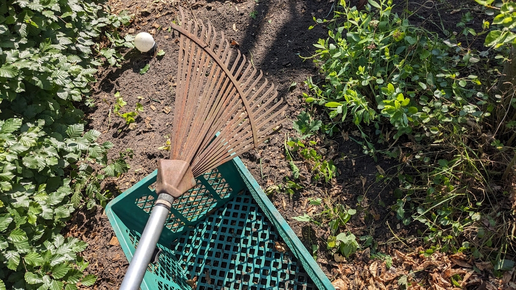 Auf diesem Bild sieht man eine Szene aus dem Garten, die sich auf Gartenarbeit bezieht. Im Vordergrund ist ein Laubrechen mit einem langen Stiel zu sehen, der auf eine grüne Kunststoffkiste mit Gitterboden gelegt wurde. Der Rechen wirkt etwas gebraucht und ist rostig, aber funktionstüchtig. Die grüne Kiste steht auf dem Boden, der Bereich drumherum ist teils mit Erde, teils mit ein paar Pflanzen und vertrockneten Blättern bedeckt. Am linken Bildrand sieht man wieder dichte grüne Blätter einer Hecke. Oben links liegt ein weißer, runder Gegenstand auf der Erde. Es ist eine alte, runde Solarlampe mit schwarzem spitzen Stecker, die in die Erde gesteckt werden konnte. Rechts auf dem Bild wachsen weitere grüne Pflanzen. Die Szene vermittelt typische Gartenarbeit, beim Zusammenrechen von Laub und beim Säubern von Beeten.